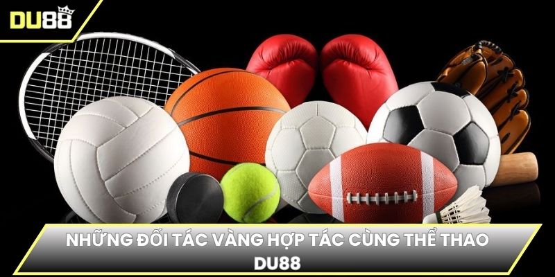 Những đối tác vàng hợp tác cùng thể thao DU88